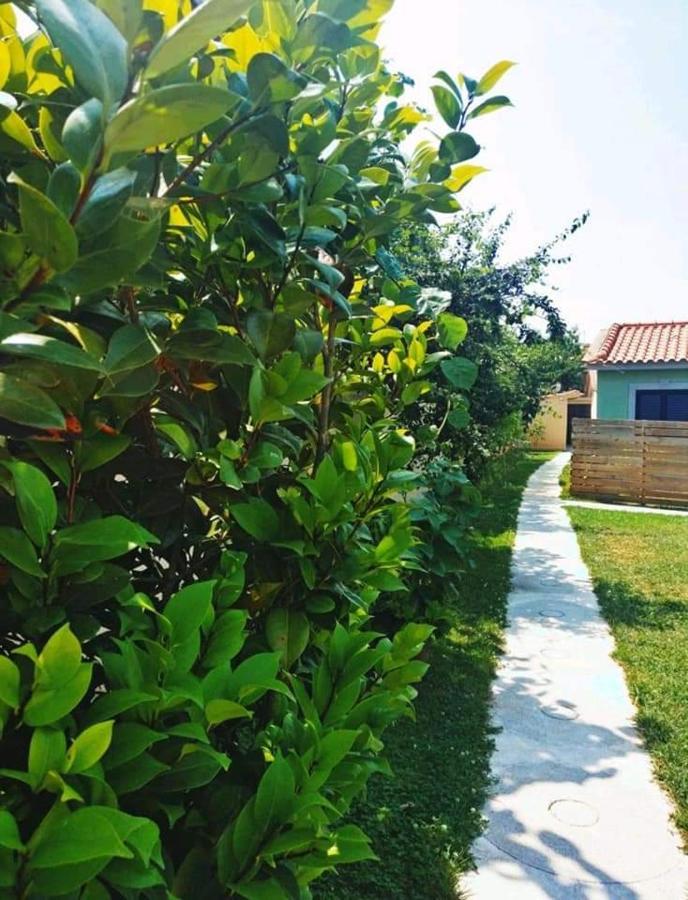 Casas Do Paco - Casas De Ferias Cabeceiras de Basto Buitenkant foto