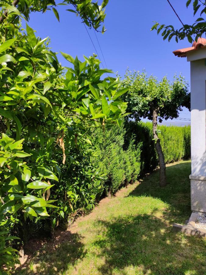 Casas Do Paco - Casas De Ferias Cabeceiras de Basto Buitenkant foto
